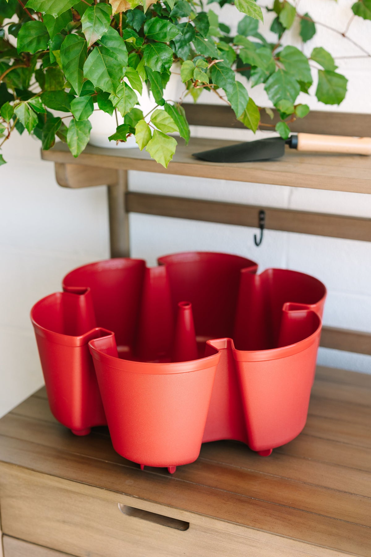 Individual Leaf Planter | Tomato (Basic Texture) 