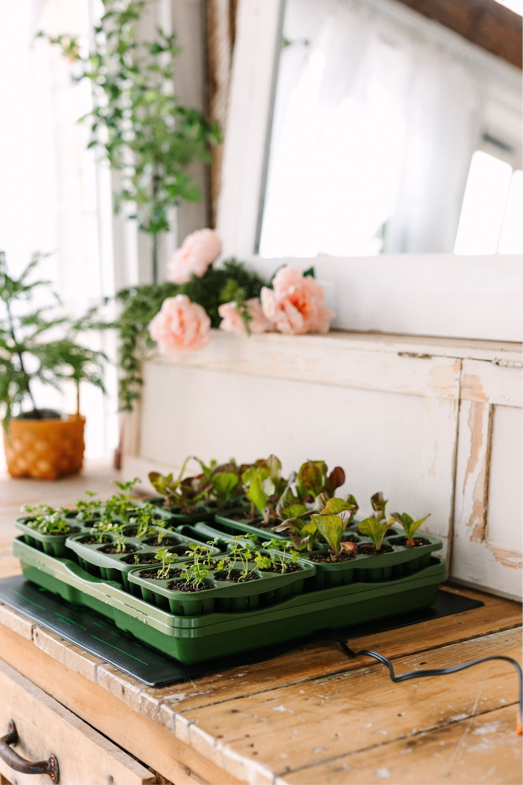 plant seed heat mat Heat Mat for Seed Starter Kits