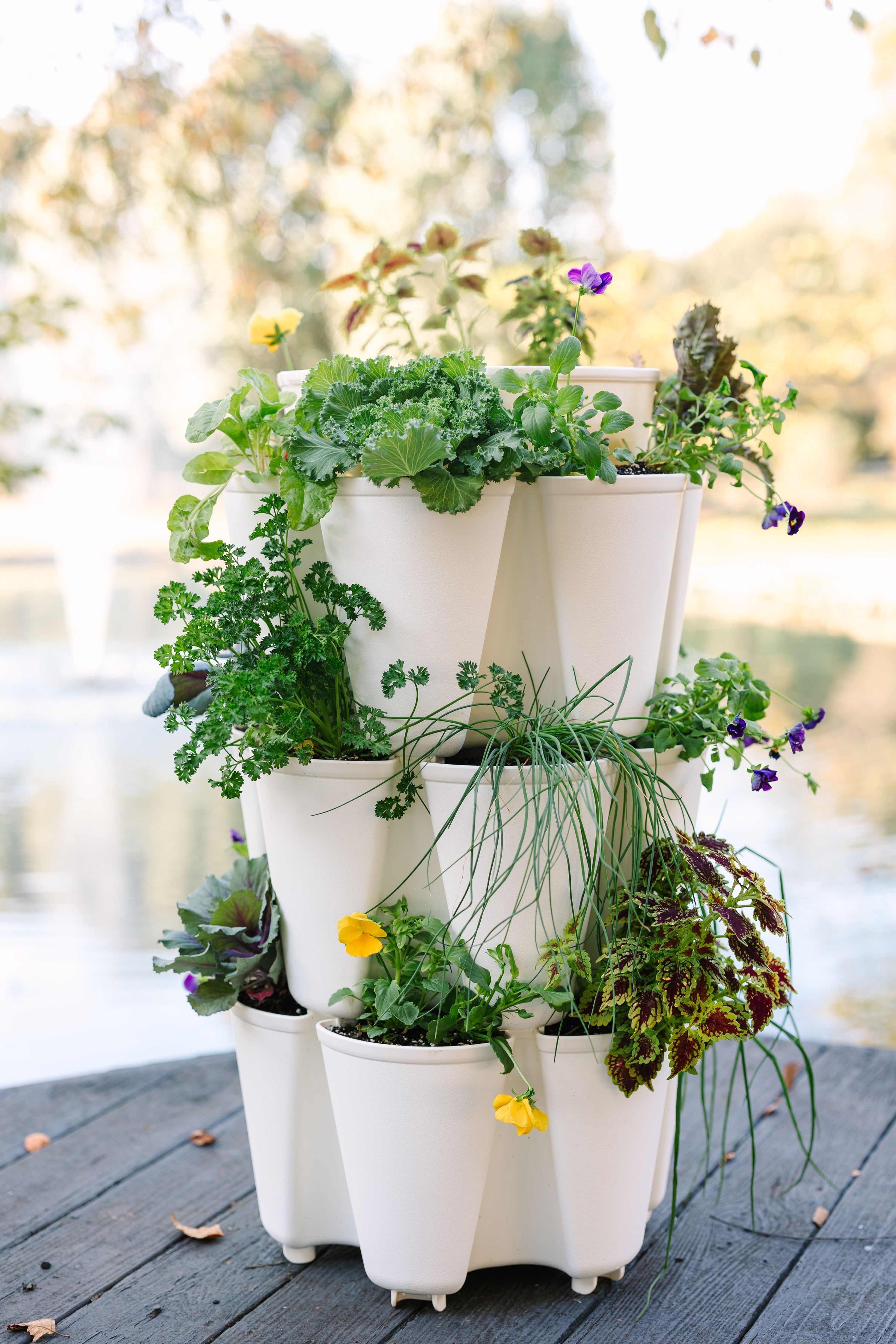 GreenStalk Vertical Planter