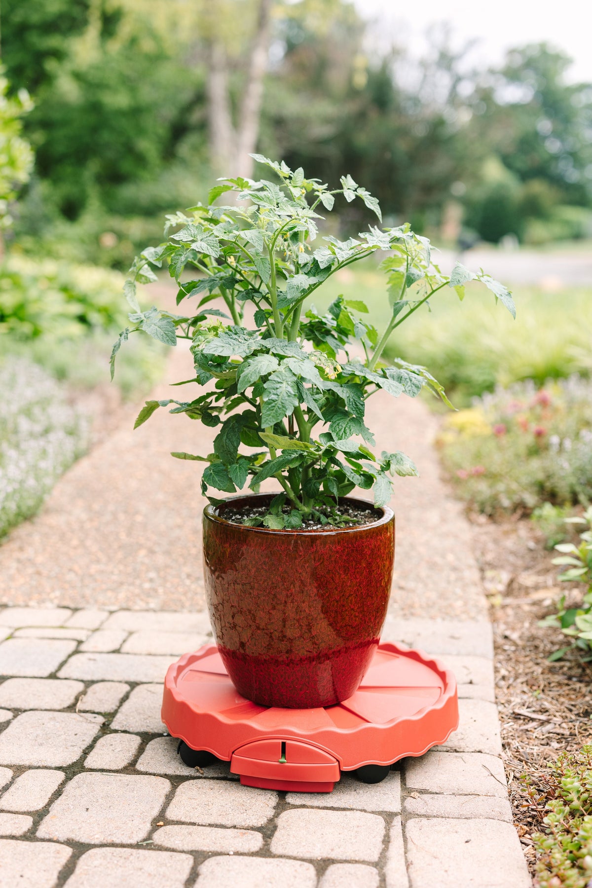GreenStalk Ultimate Mover | Tomato 