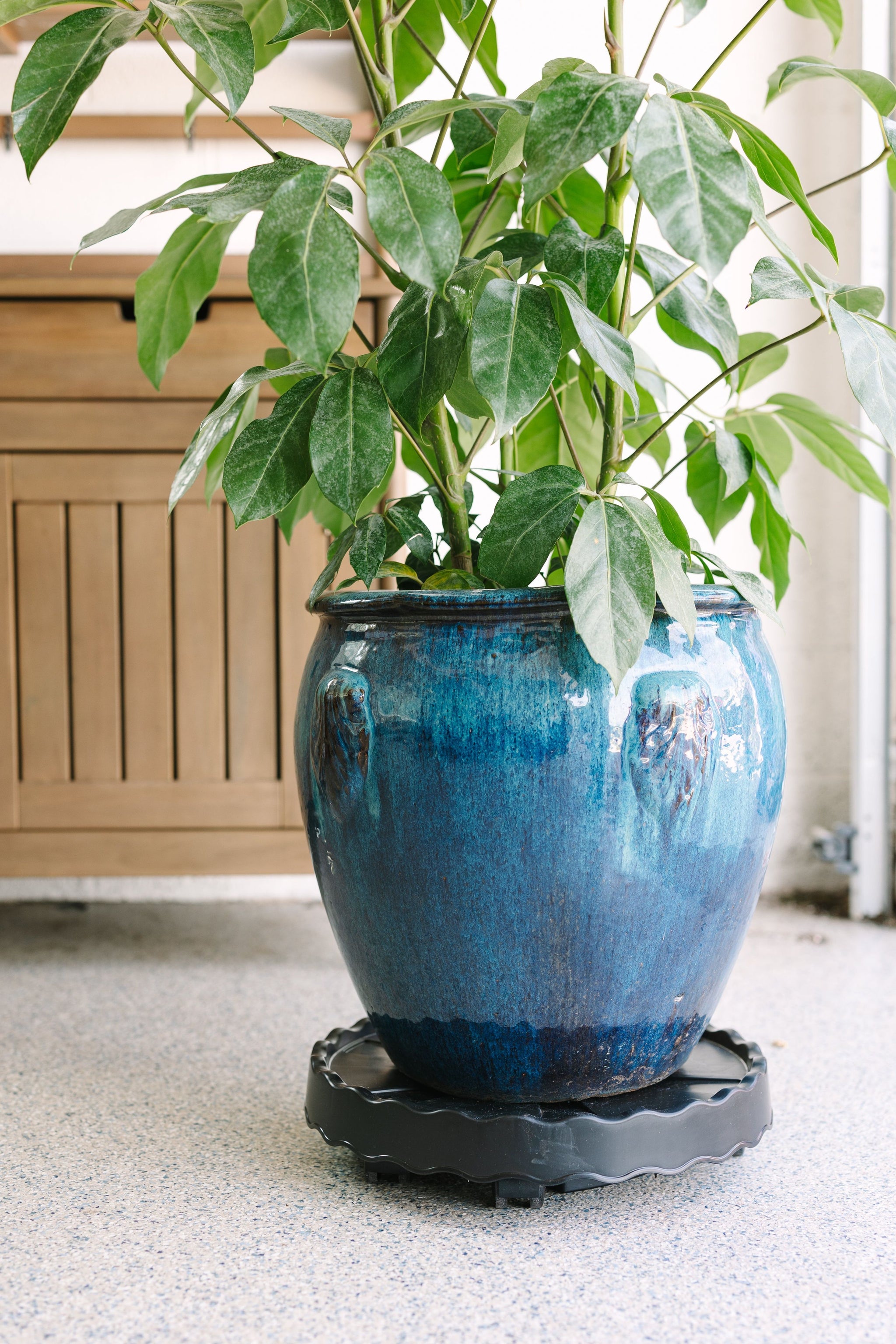 large potted plant mover GreenStalk Ultimate Mover | Beautiful Black