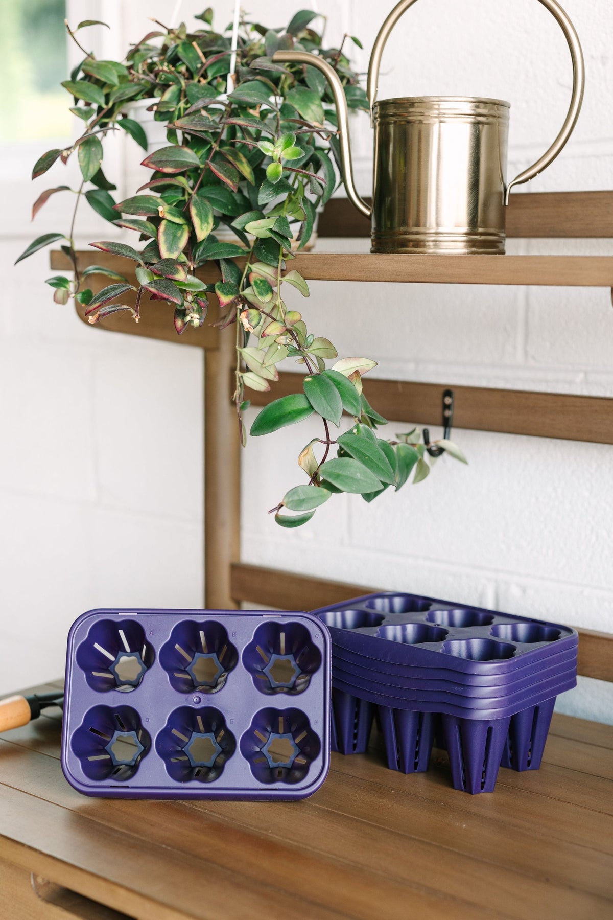 GreenStalk Set of 6 Individual Seed Starters | Blackberry 