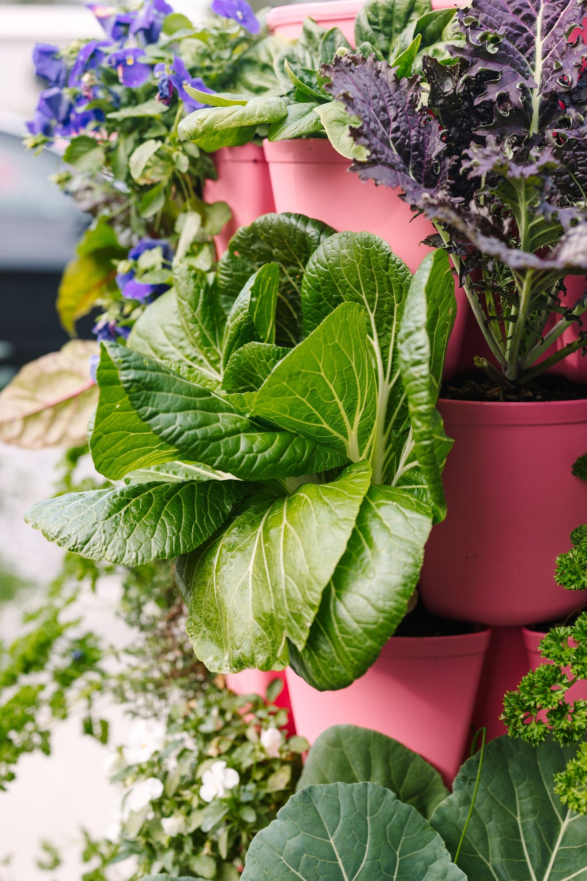 7 Tier GreenStalk Leaf Vertical Planter | Strawberry Pink (Basic Texture) 