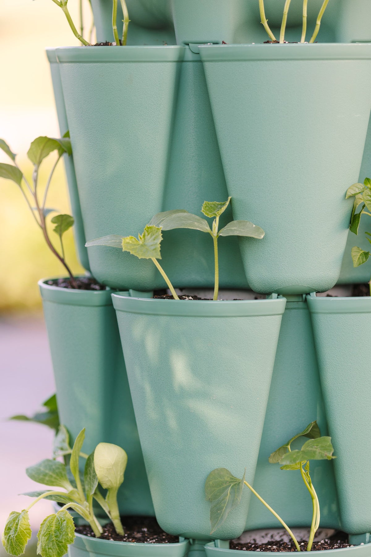 4 Tier GreenStalk Original Vertical Planter | Sage (Basic Texture) 