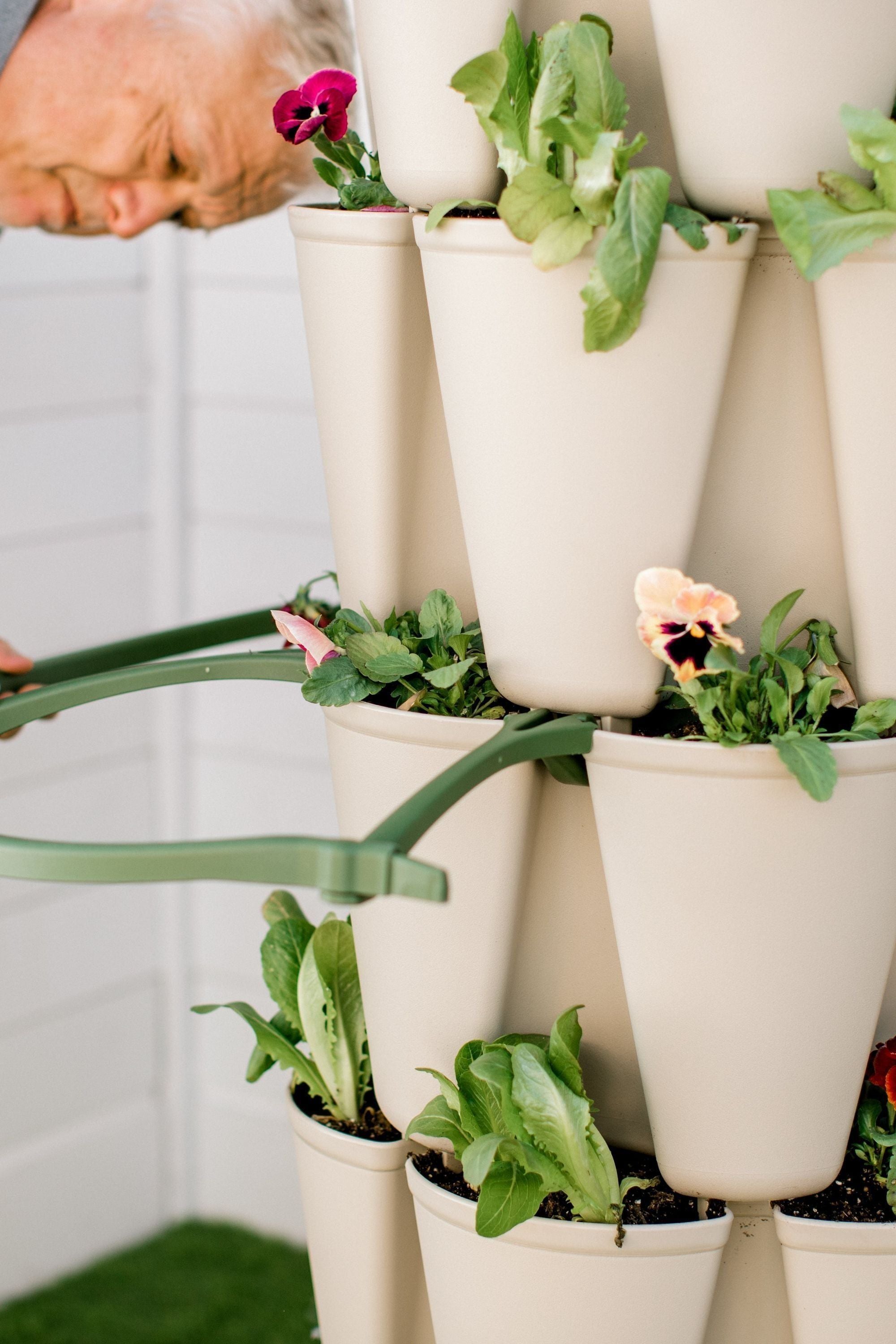 house plant supports GreenStalk Plant Support | Set of 3