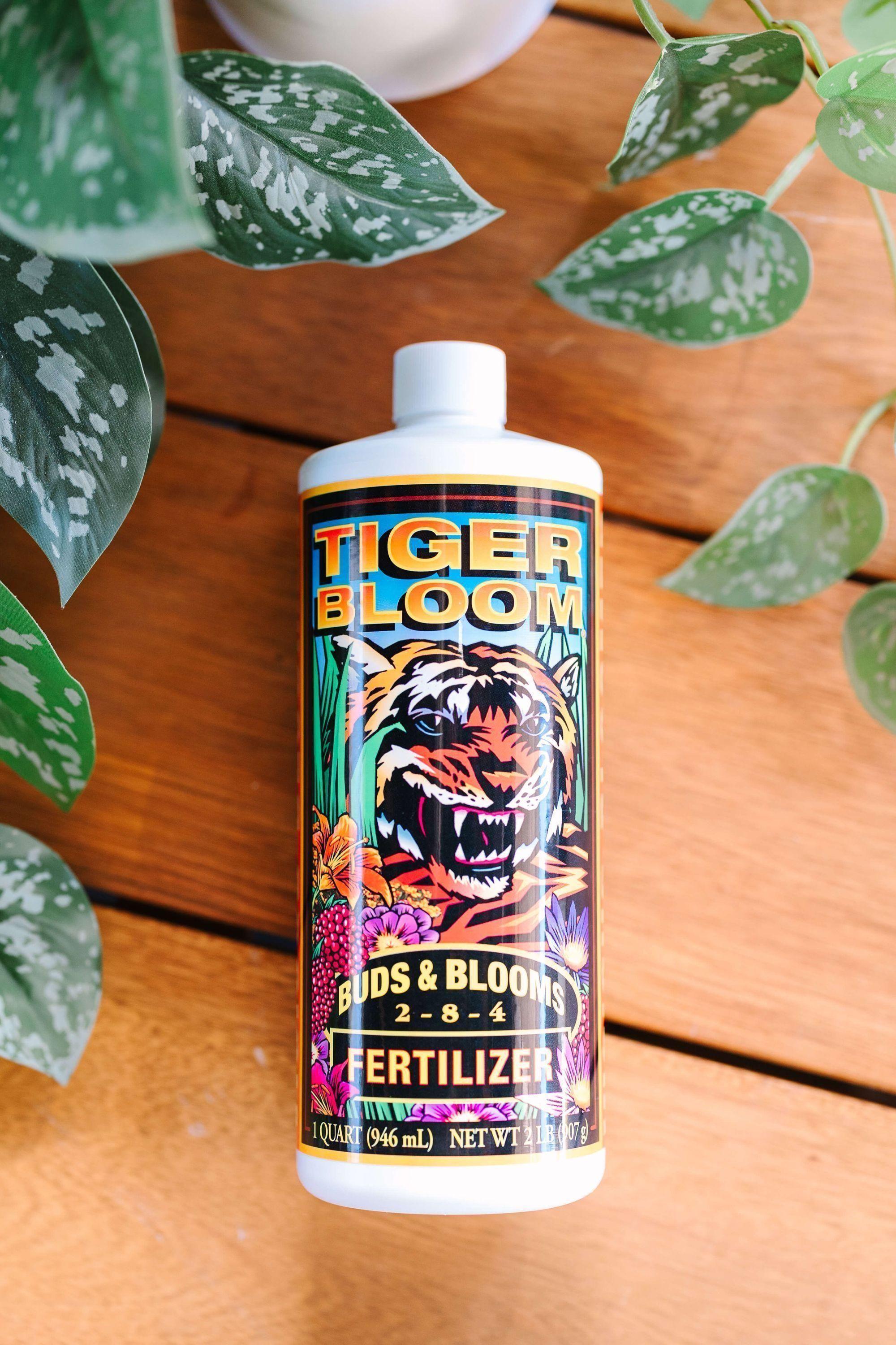 Tiger Bloom GreenStalk Garden tiger-bloom-greenstalk-garden