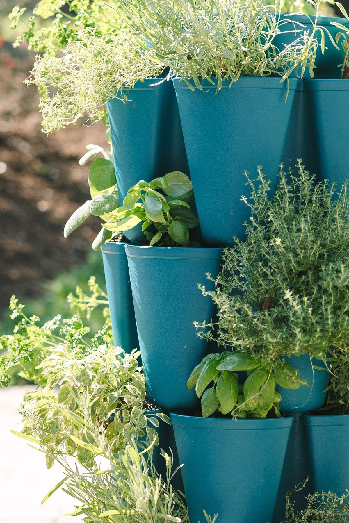 4 Tier GreenStalk Original Vertical Planter | Dragonfly (Basic Texture) 