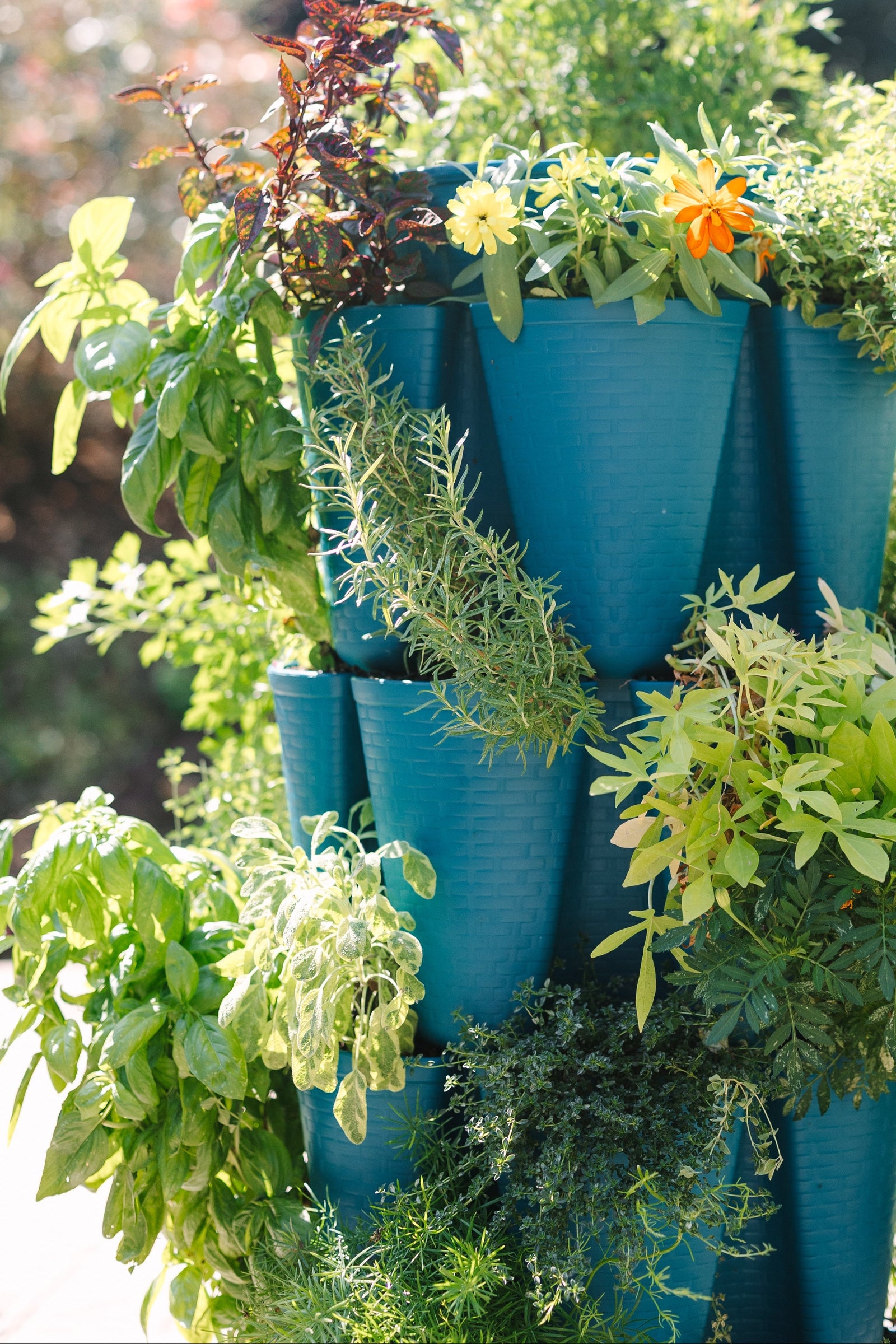 4 Tier GreenStalk Original Vertical Planter | Dragonfly (Basket Weave Texture) 