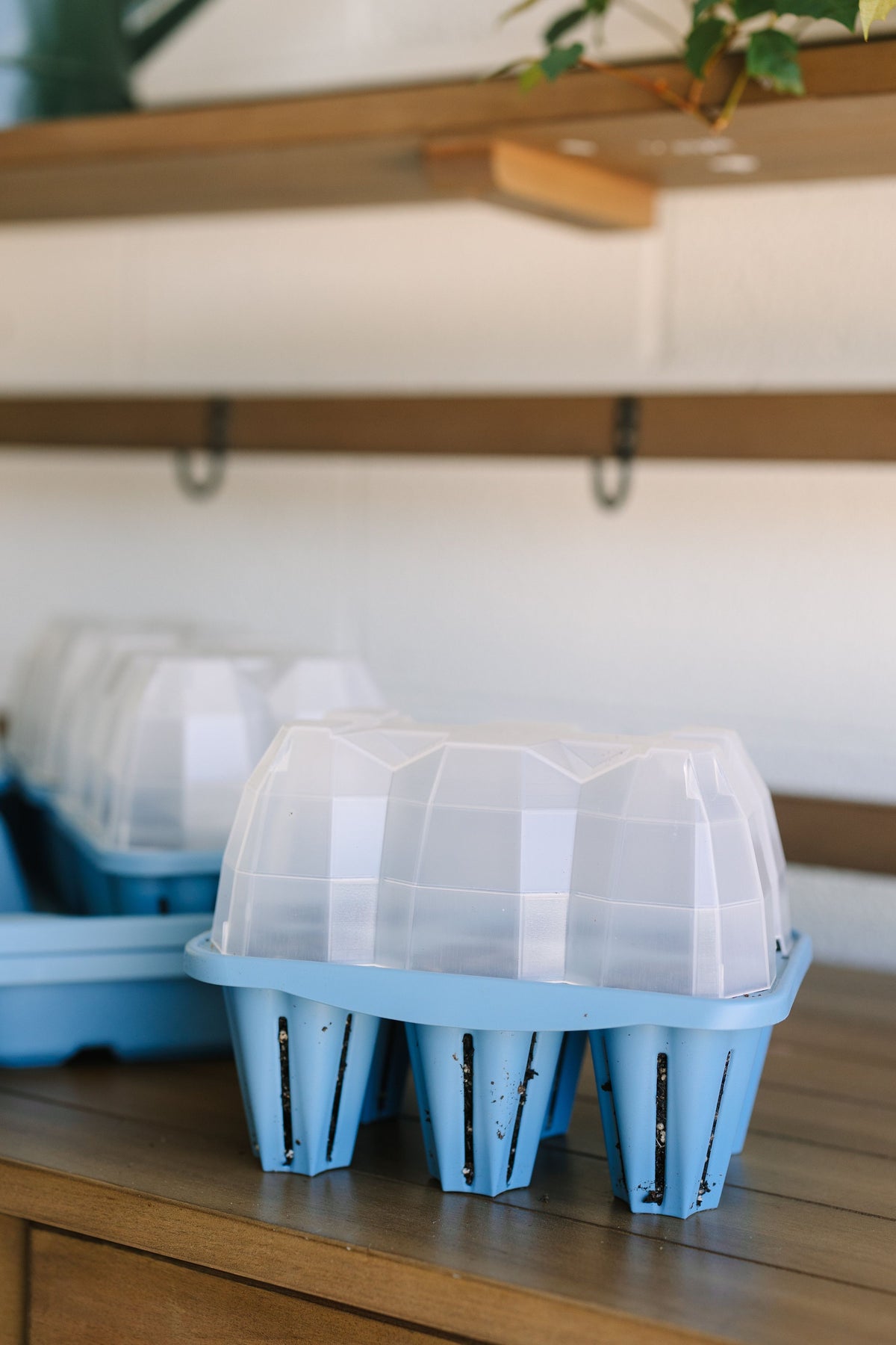 GreenStalk Seed Starter Kit with Domes | Glacier Blue FINAL SALE 