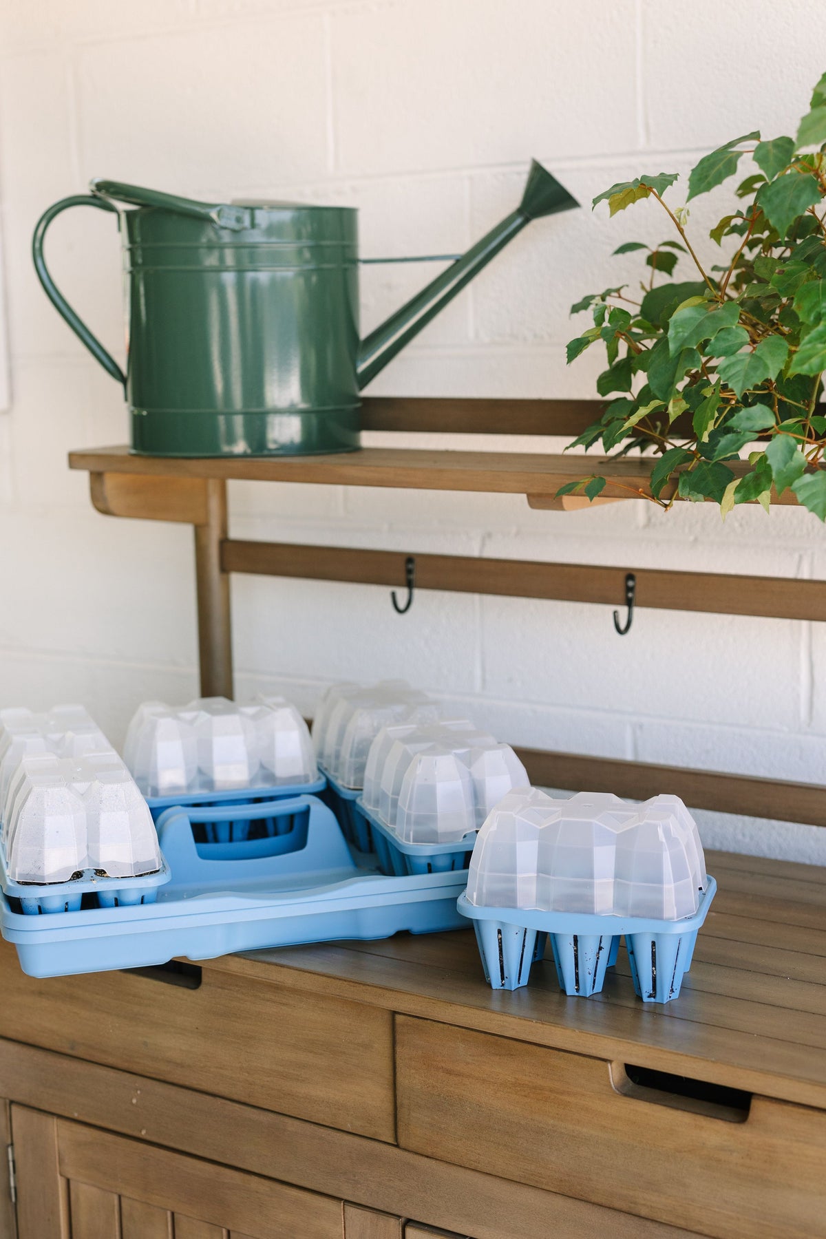 GreenStalk Seed Starter Kit with Domes | Glacier Blue FINAL SALE 