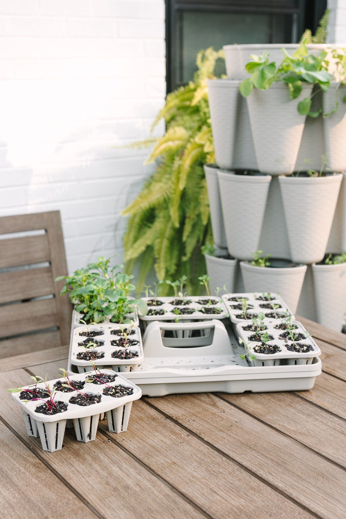 GreenStalk Seed Starter Kit with Domes | Stunning Stone 