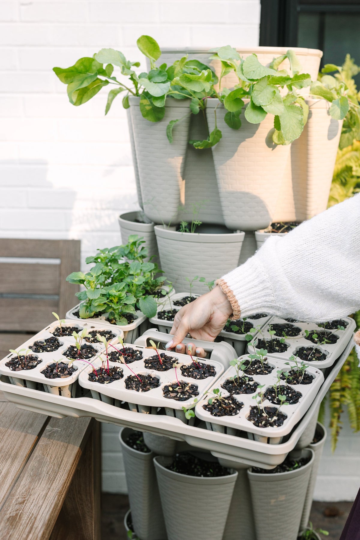 GreenStalk Seed Starter Kit with Domes | Stunning Stone 
