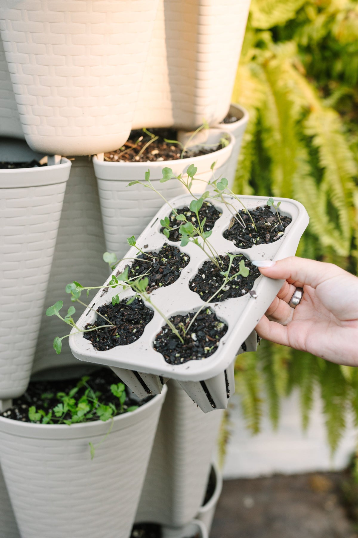 GreenStalk Seed Starter Kit with Domes | Stunning Stone 