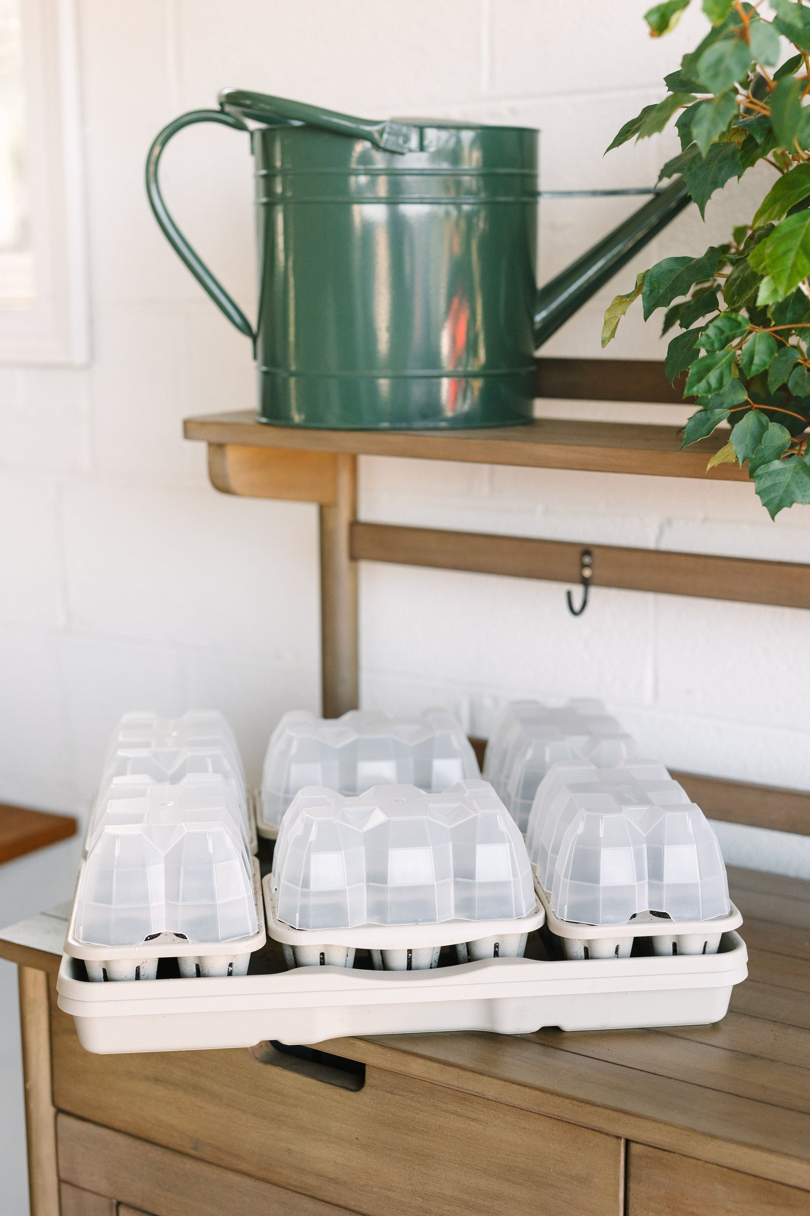GreenStalk Seed Starter Kit with Domes | Stunning Stone 