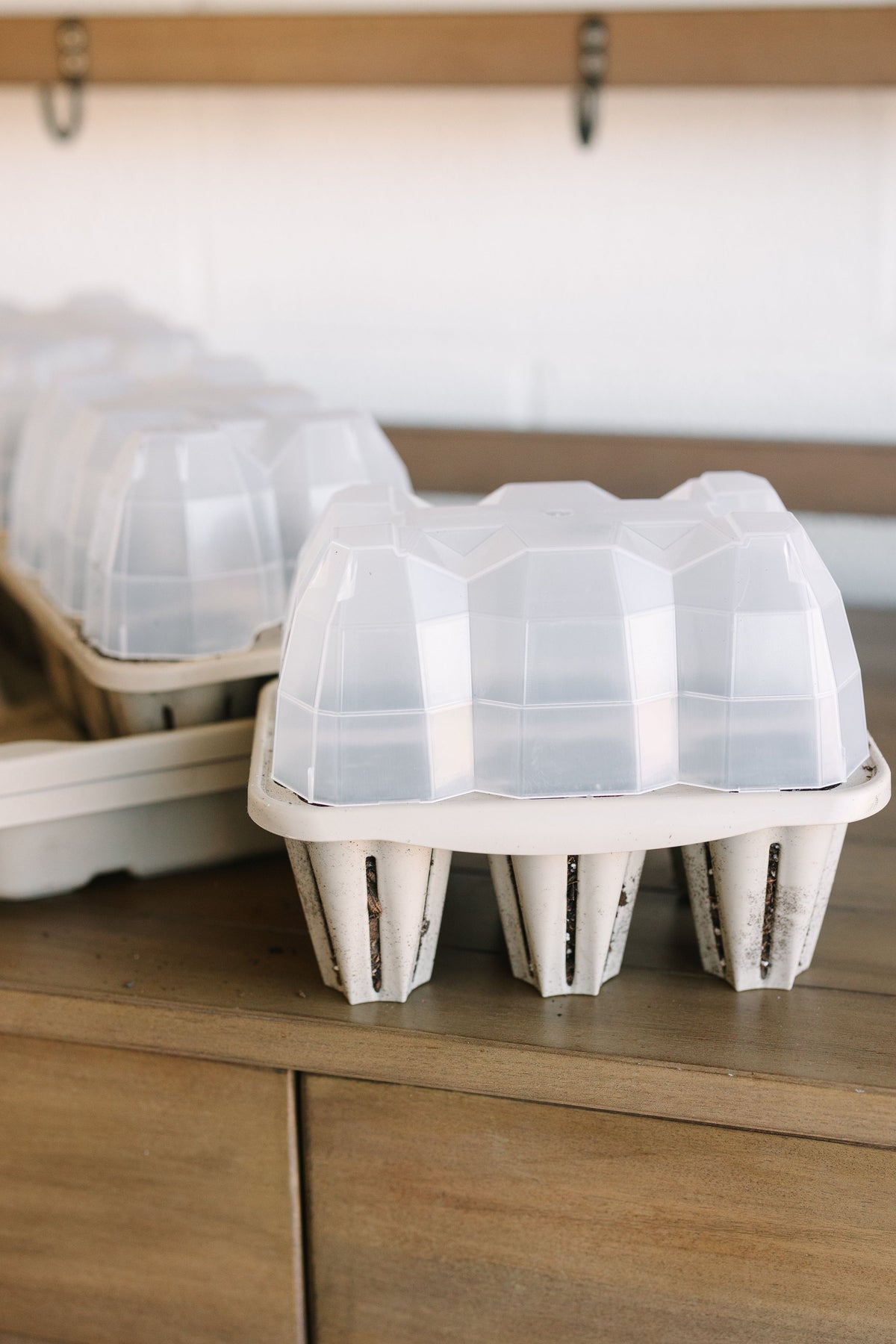 GreenStalk Seed Starter Kit with Domes | Stunning Stone 