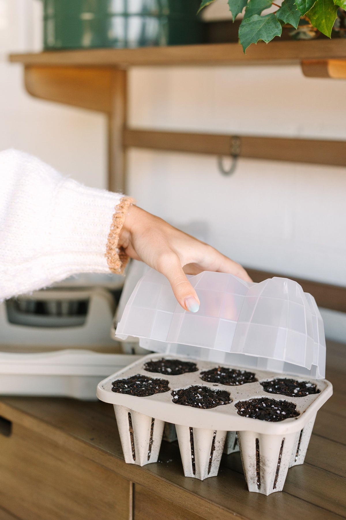 GreenStalk Seed Starter Kit with Domes | Stunning Stone 