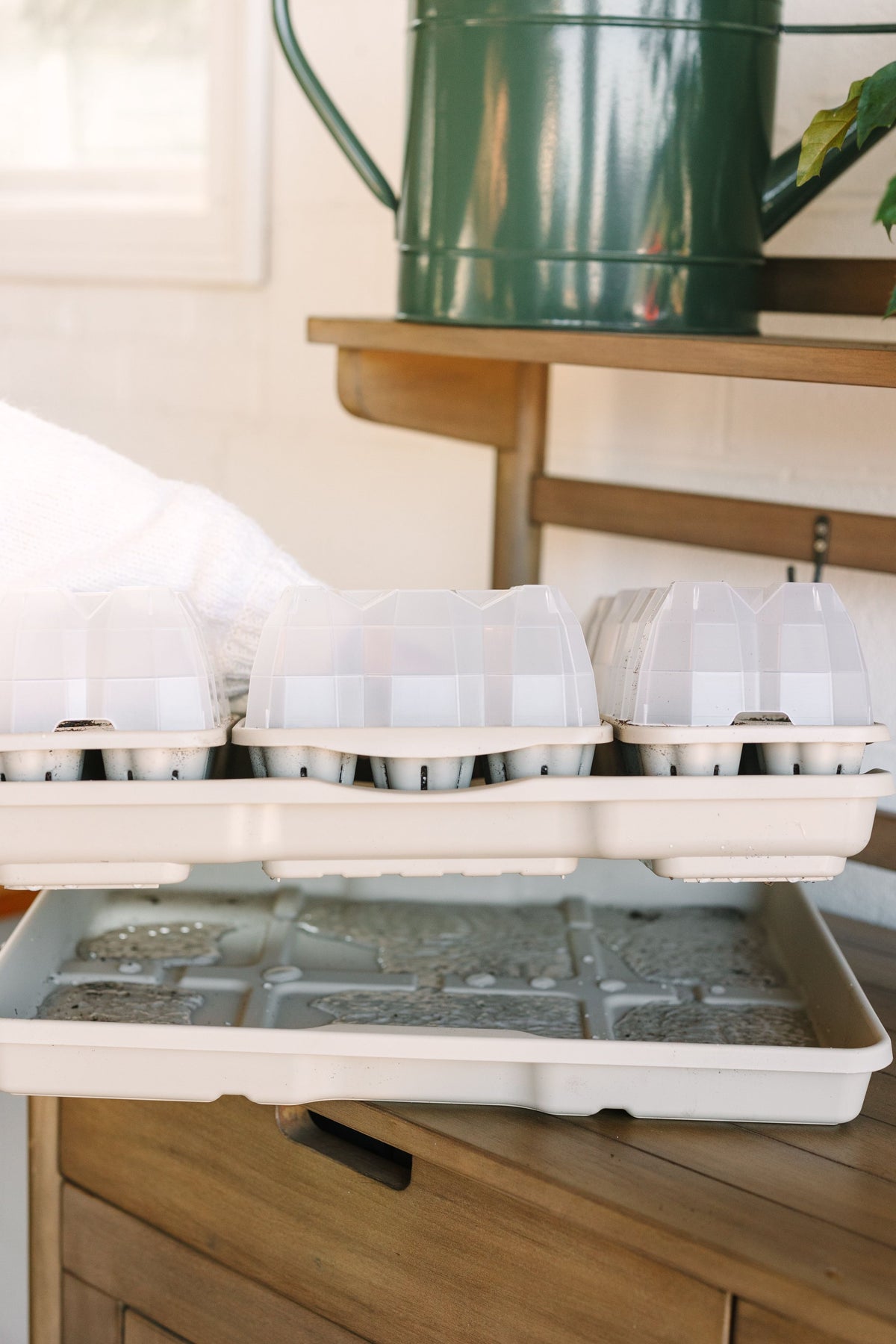 GreenStalk Seed Starter Kit with Domes | Stunning Stone 