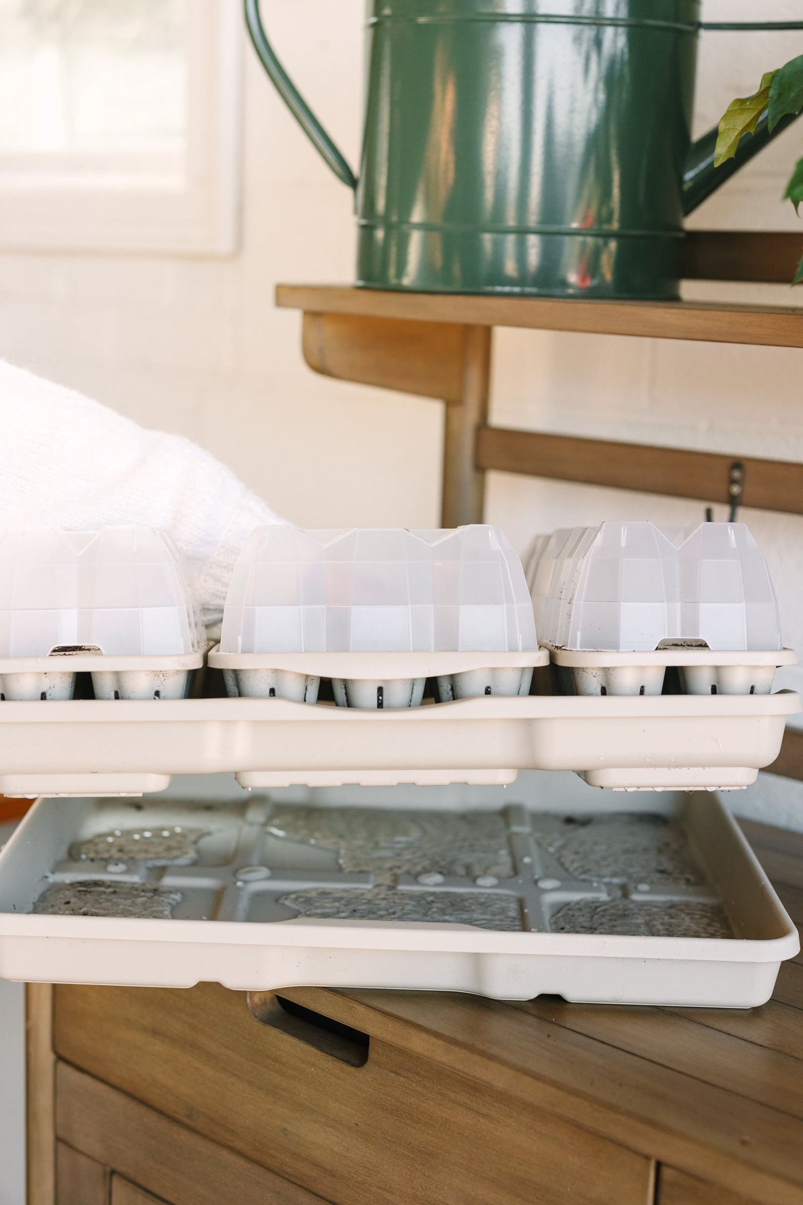 GreenStalk Seed Starter Kit with Domes | Stunning Stone 