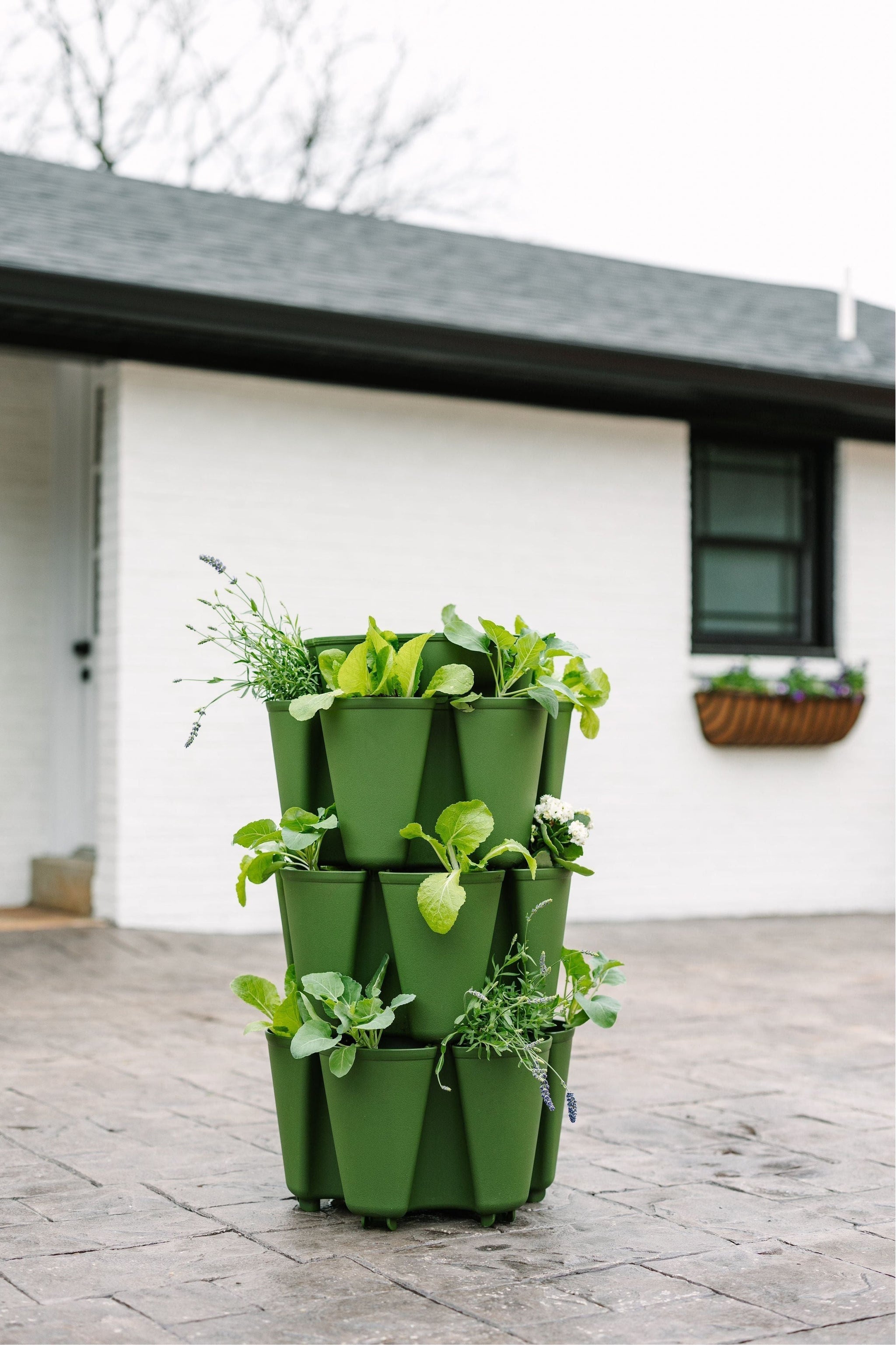 3 tiered hanging planter 3 Tier GreenStalk Original Vertical Planter | Evergreen (Basic Texture