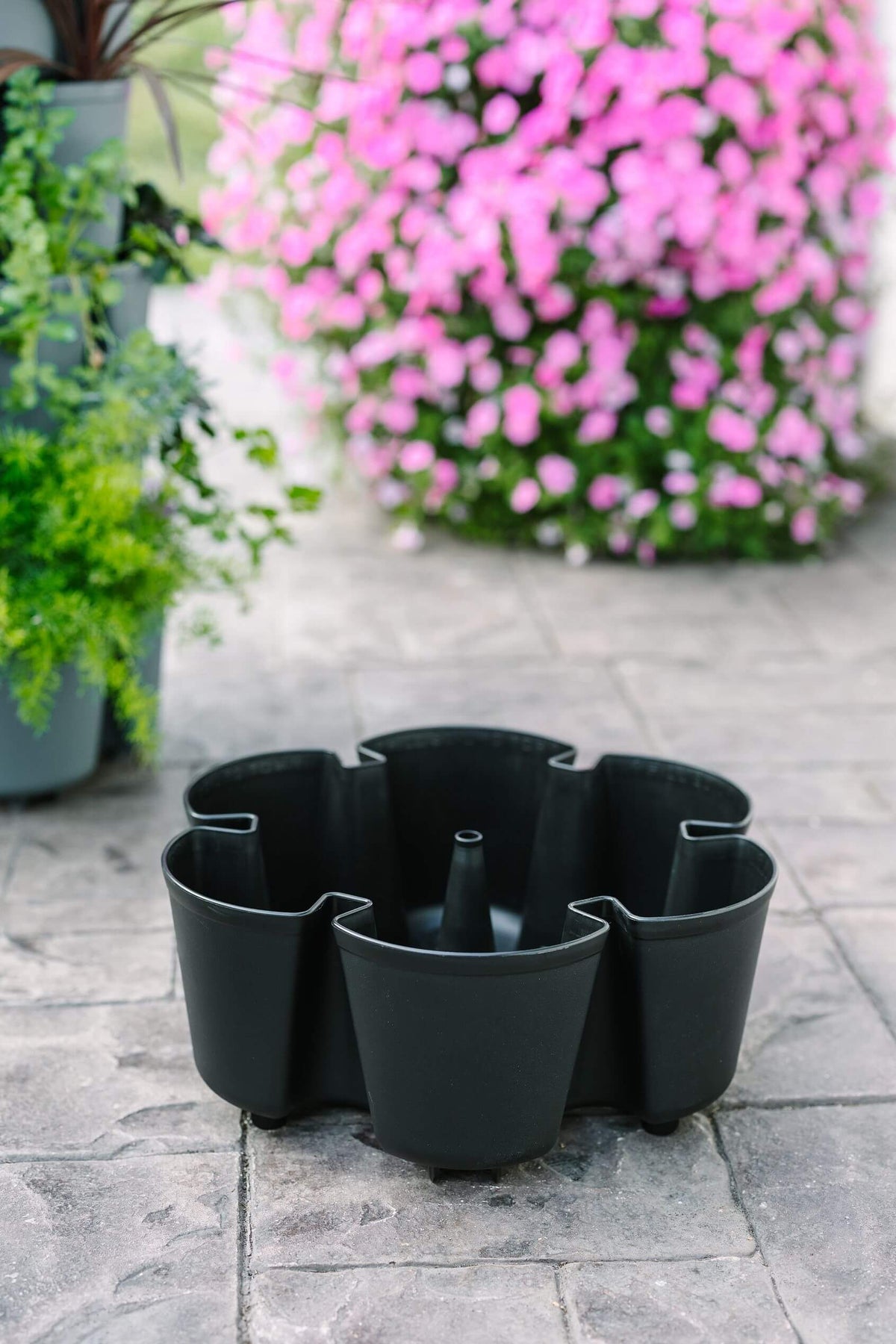 Individual Leaf Planter | Beautiful Black (Basic Texture) 