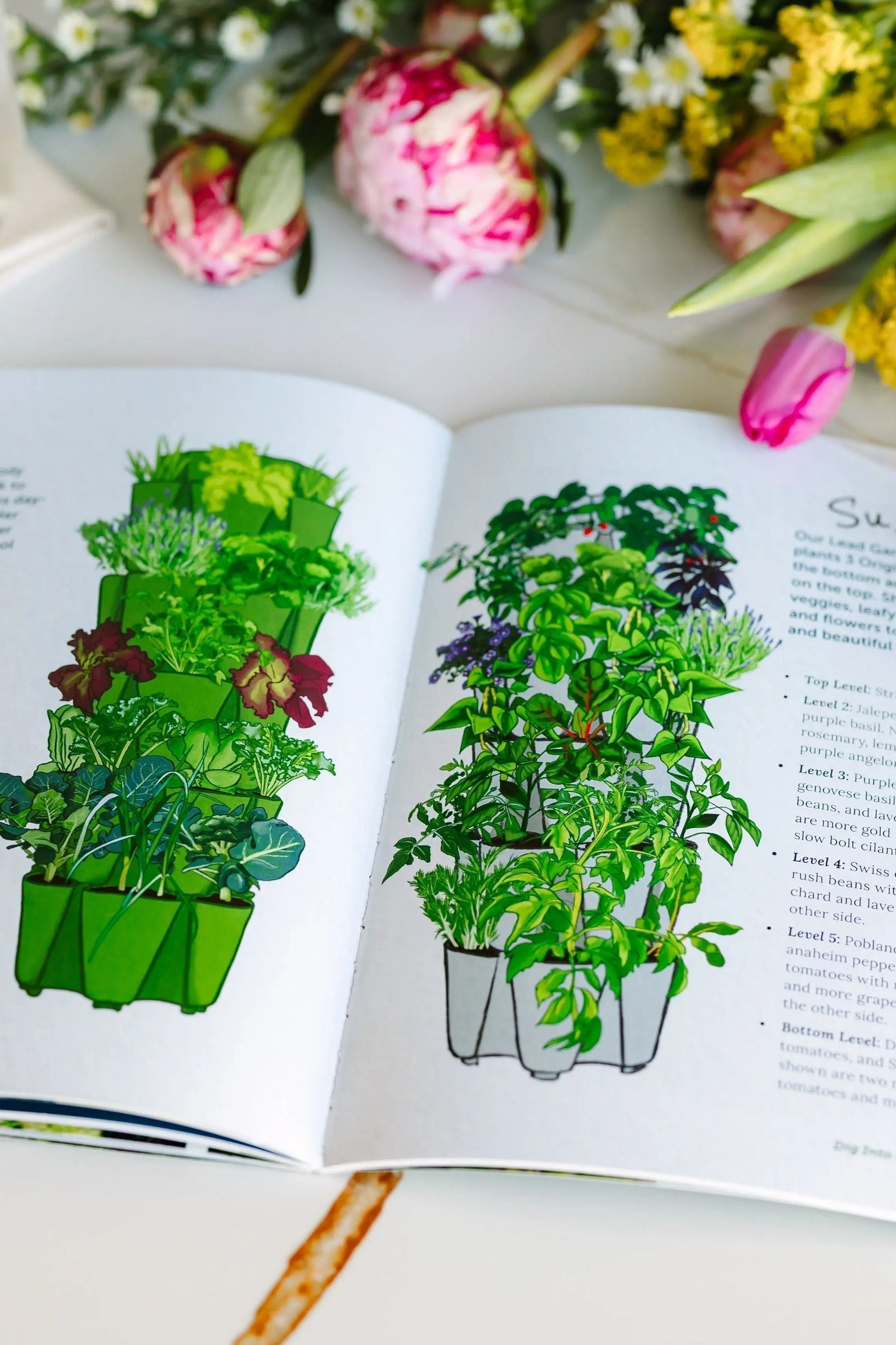 house plants magazine GreenStalk Magazine 2024 | Print Magazine