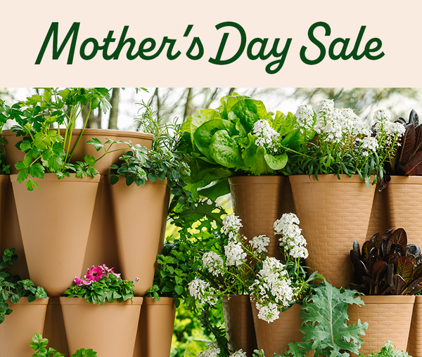 How to Grow a Tower of Spinach GreenStalk Garden