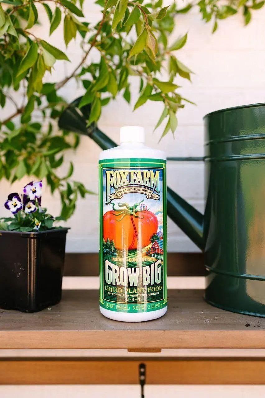 fox farm fertilizer for indoor plants Fox Farm Grow Big Fertilizer for Lush Vegetative Growth 6-4-4