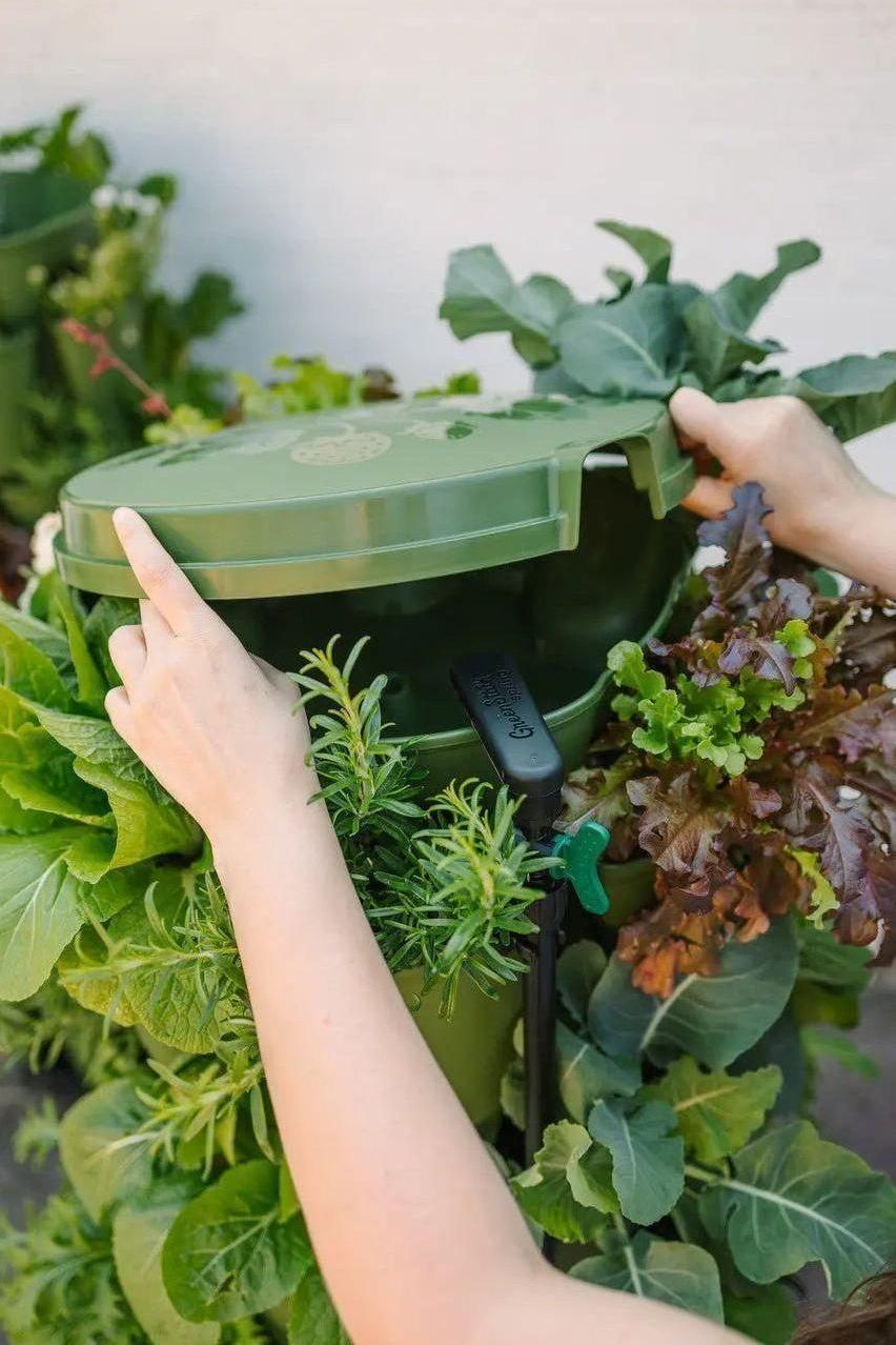 automatic watering plants GreenStalk Spring - Watering System | Stunning Stone