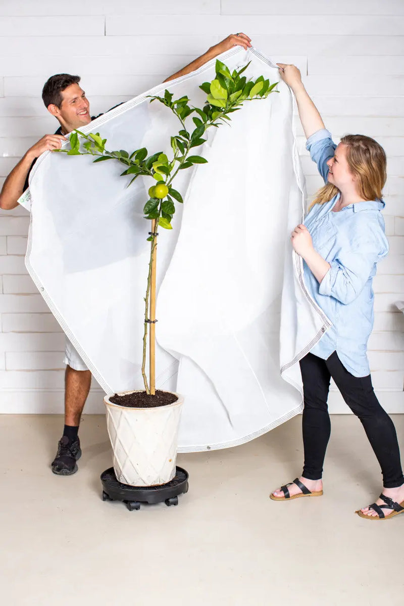 Insect Protection Cover | GreenStalk Garden