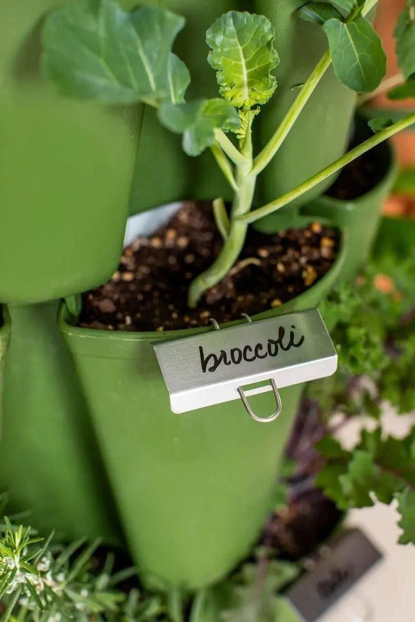 Pack of 25 Plant Markers for Staking in the GreenStalk 