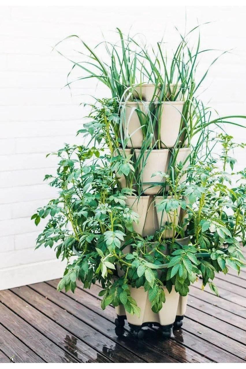 plant support for indoor plants GreenStalk Plant Support